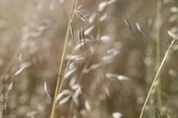 Obraz Baia do Seixal