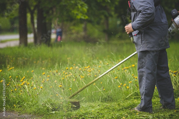Fototapeta A worker in gray protective clothing with a lawnmower in his hands mows grass next to the road and trees in the background. A man mows grass with dandelions with a trimmer on a spring evening. Toning