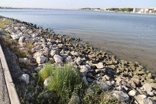 Obraz Baia do Seixal