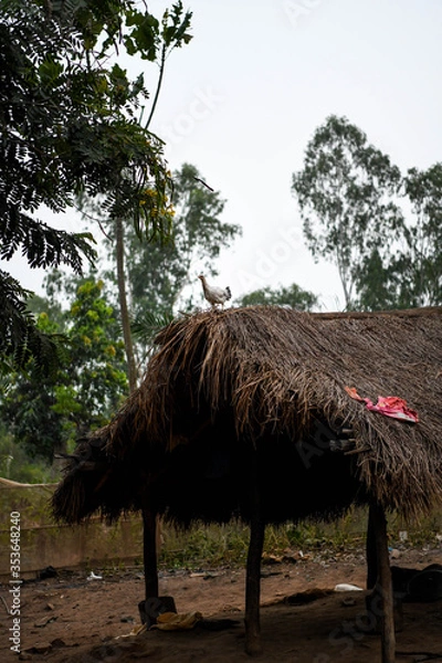 Obraz A duck on a thatched roof in the countryside of Kpalimé.