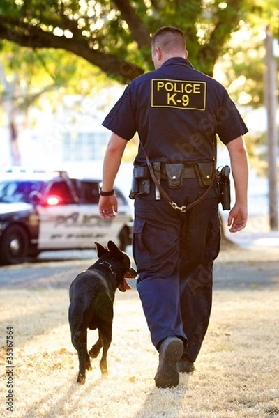 Fototapeta K9 Handler i jego partner