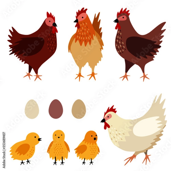 Fototapeta Vector chicken family (hens with chicks and eggs). Set of poultry clip art isolated on white background