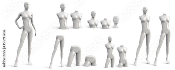 Obraz Female mannequin of different parts. White set. Three quarter front view. Vector illustration isolated on white background.