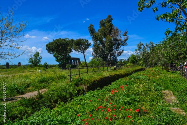 Obraz Rome suburbs field landscape