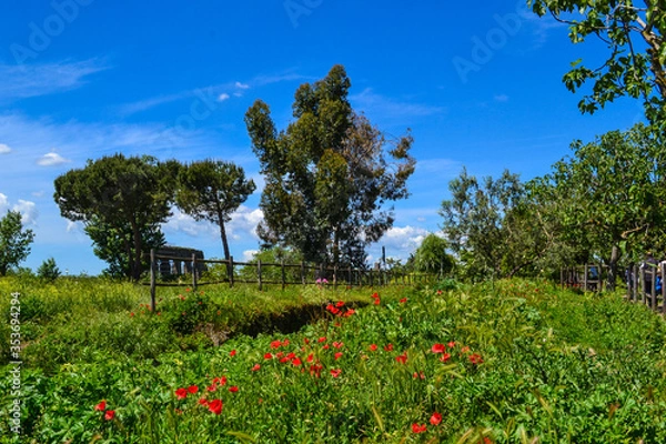 Obraz Roman suburb field landscape