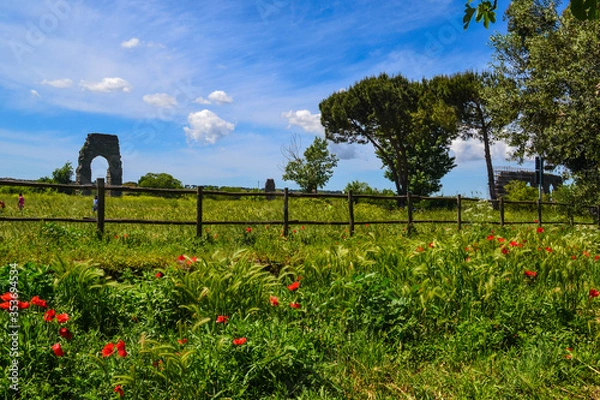 Fototapeta The view on the ancient Rome aqueducts remainings