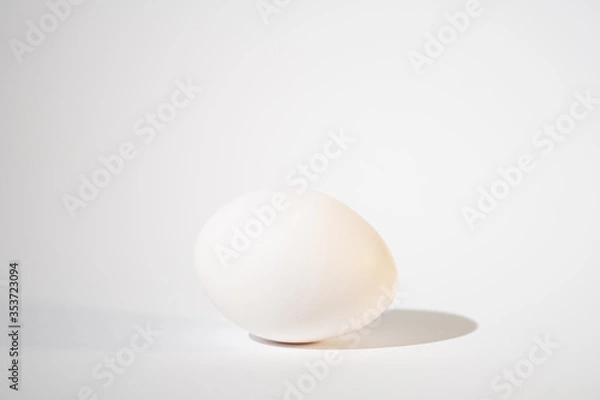 Obraz white egg on the white background