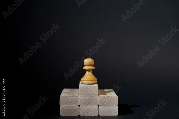 Obraz Chess winner concept, game concept, metaphor