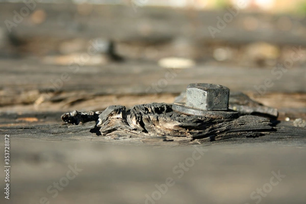 Obraz rustic wood with a metal bolt