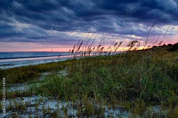 Obraz Sea Oats