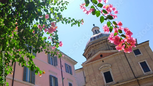 Fototapeta An old beautiful architecture. Spring in Europe, beautiful blossom trees. 