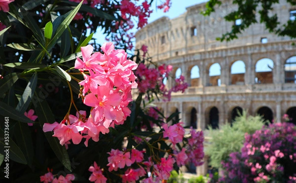 Fototapeta Spring in Rome Italy, pink flowering trees against the background of the Coliseum. 