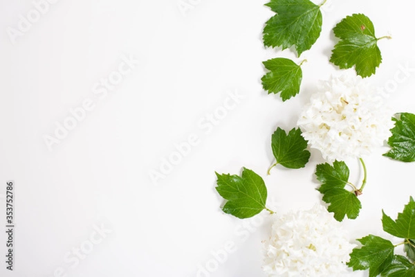 Obraz White Snowball Viburnum Flowers