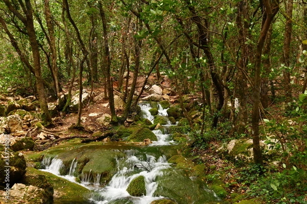 Obraz L'Huveaune à sa source, Provence, Var