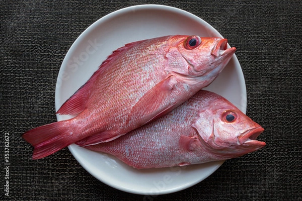 Fototapeta Philippines fish - Maya Maya, local red snapper on the plate