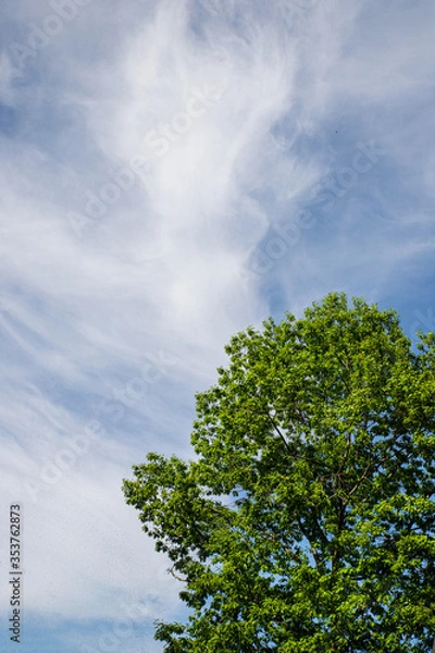 Obraz Beautiful clouds in the sky background with texture