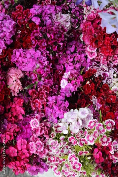 Obraz pink and white flowers