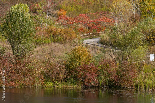 Obraz Lake fall scene.