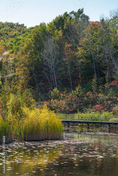 Obraz Lake fall scene.