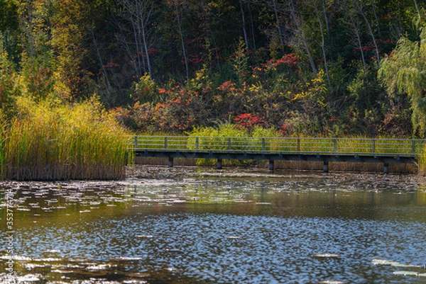 Obraz Lake fall scene.