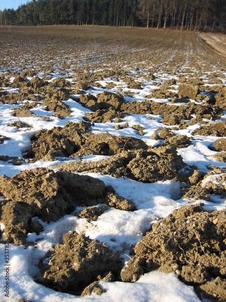 Obraz acker im winter