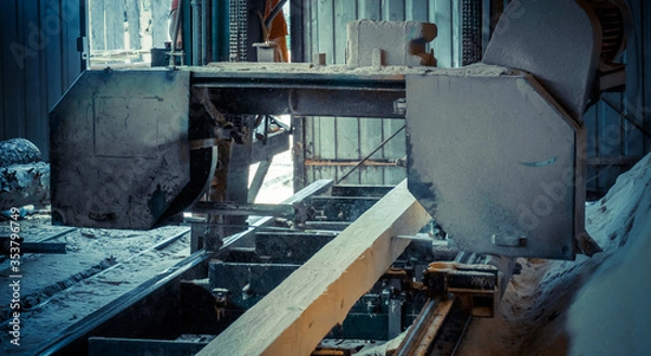 Fototapeta Sawmill. Process of machining logs in sawmill machine saws the tree trunk