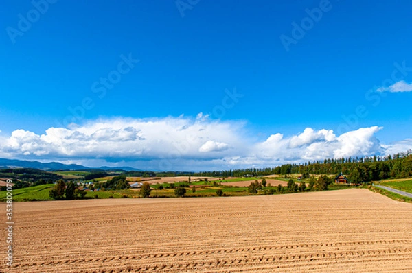 Fototapeta A cultivated farmland was just ploughed by tractor