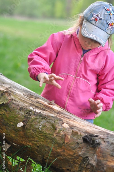 Fototapeta child playing with a frog in the forest, a girl holds a big frog in her hands, a naturalist