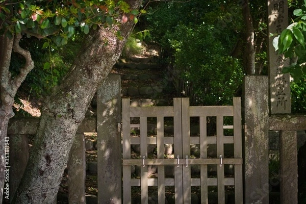 Fototapeta 神奈川