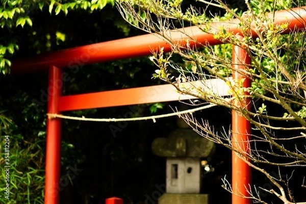 Fototapeta 神奈川