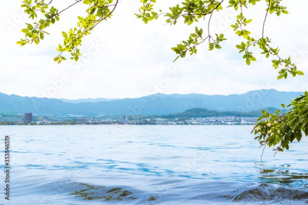 Obraz 水面と枝葉