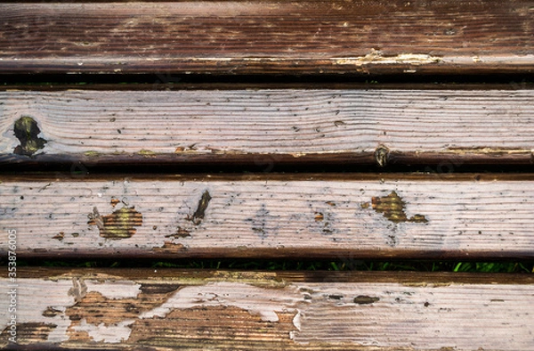 Fototapeta The old wood varnished and shrimped, texture. Timber surface of a bench, pattern, background.