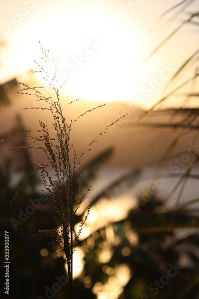 Obraz sunset in the mountains