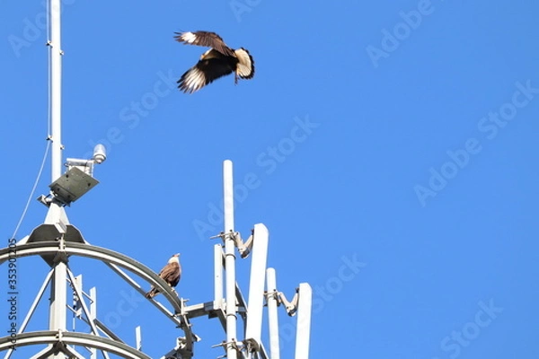 Obraz street lamp post