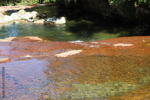 Obraz river in the forest
