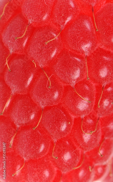 Obraz Raspberry texture