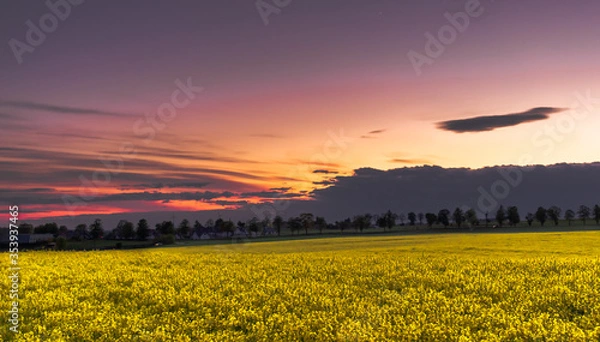 Obraz Sunset over the field