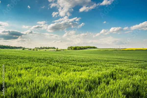 Obraz Polskie widoki