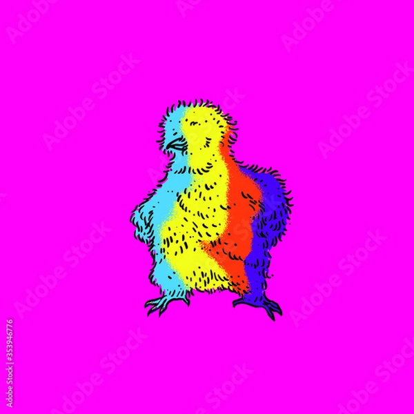 Obraz Chicken Vector Collection