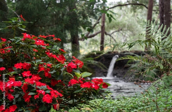 Fototapeta Red flowers and waterfall.