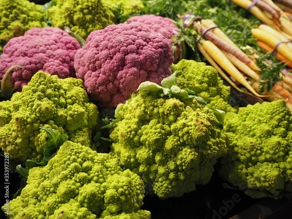 Obraz 彩り豊かな野菜