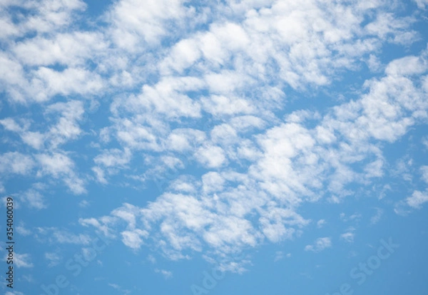 Obraz うろこ雲の青空