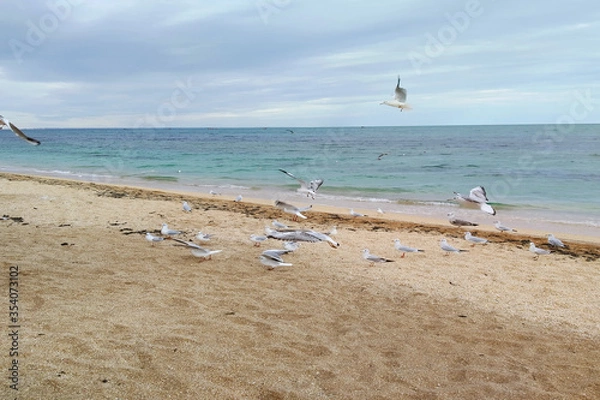 Obraz Море Осенний безлюдный пляж с чайками 