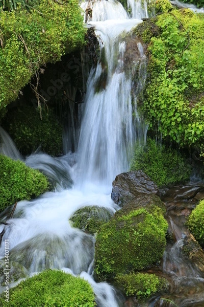 Obraz 春の苗名滝