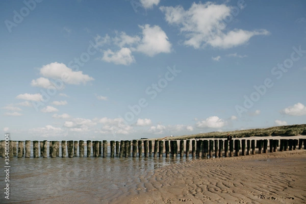 Fototapeta Küste in den Niederland