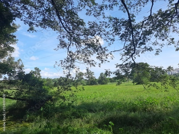 Obraz Kadambrayar, kerala 