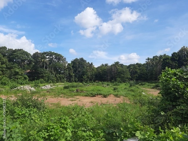 Obraz Nature, pallikara, kerala 