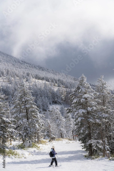 Obraz 冬の八ヶ岳