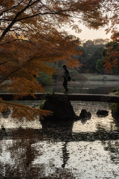 Obraz 紅葉と夕焼けと橋を渡る人