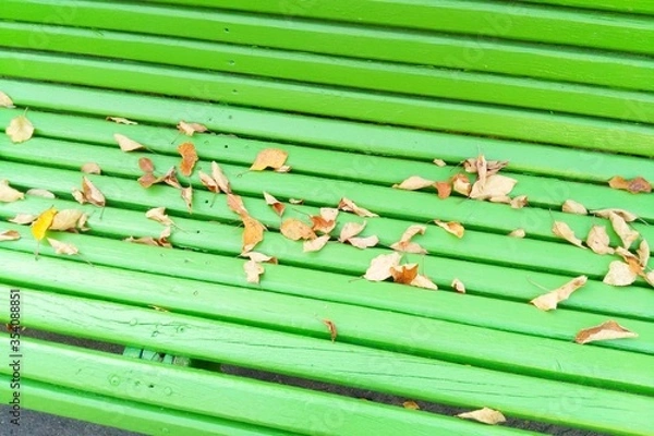 Obraz Green bench in the park dry leaves in the park in the fall